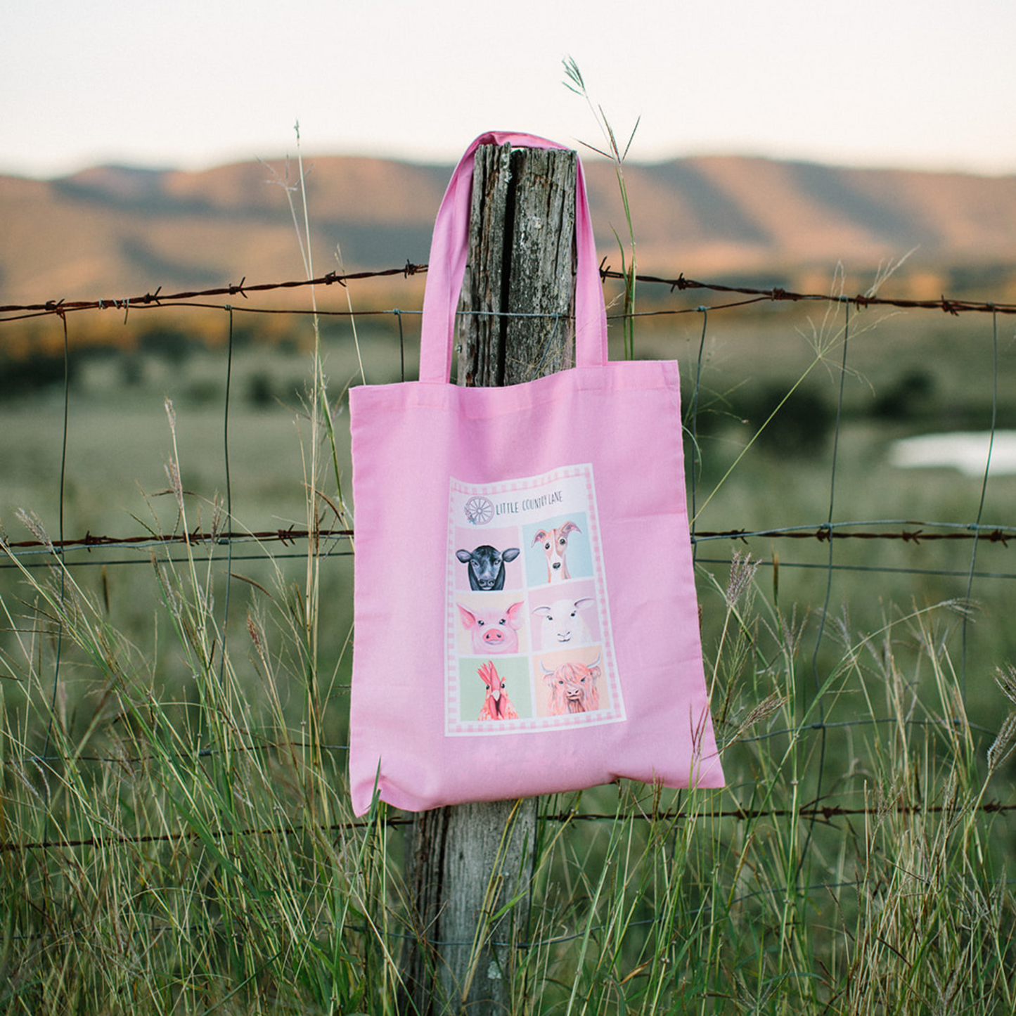 CHICKEN SHOWBAG 2025