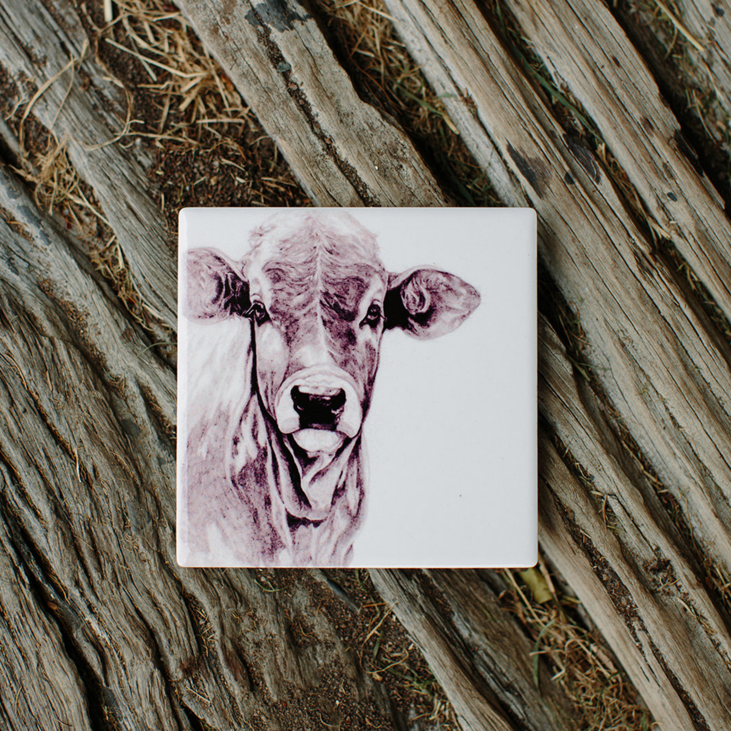 CLASSIC COUNTRY FARM FRIENDS COASTER | BECK LEE ARTIST