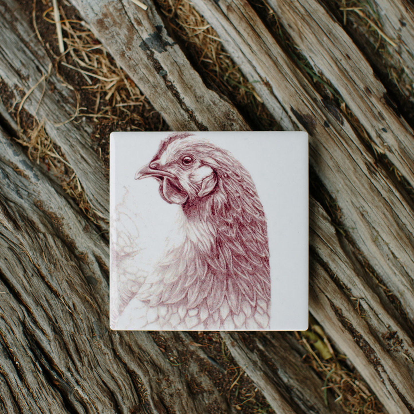 CLASSIC COUNTRY FARM FRIENDS COASTER | BECK LEE ARTIST