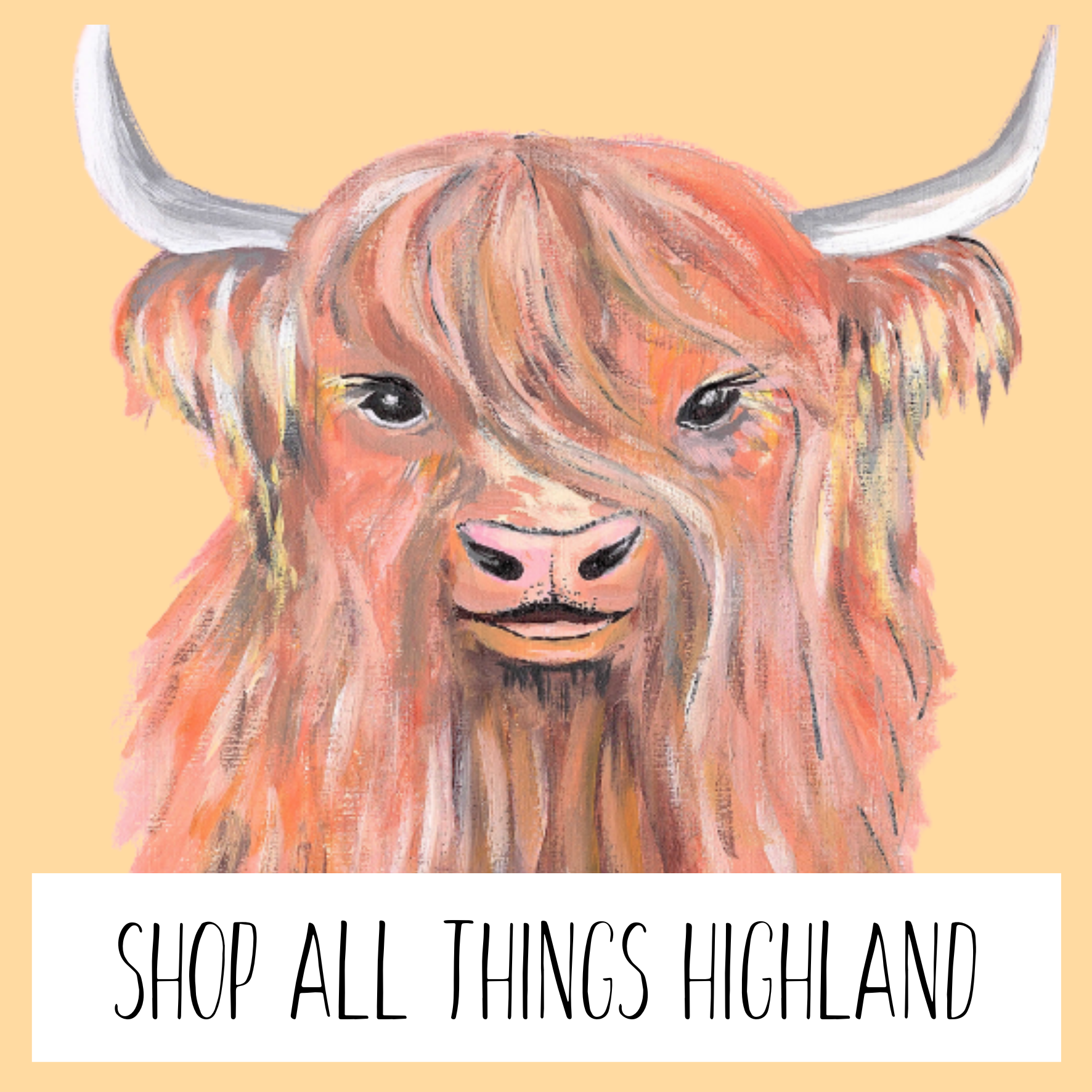 HIGHLAND COW