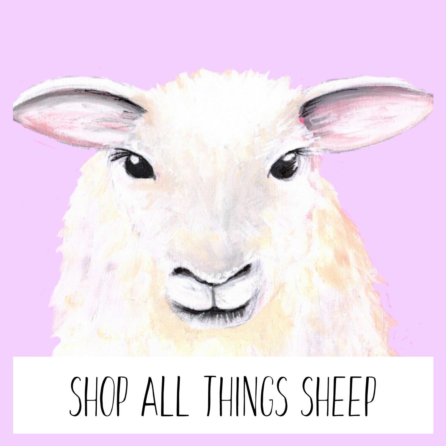 SHEEP