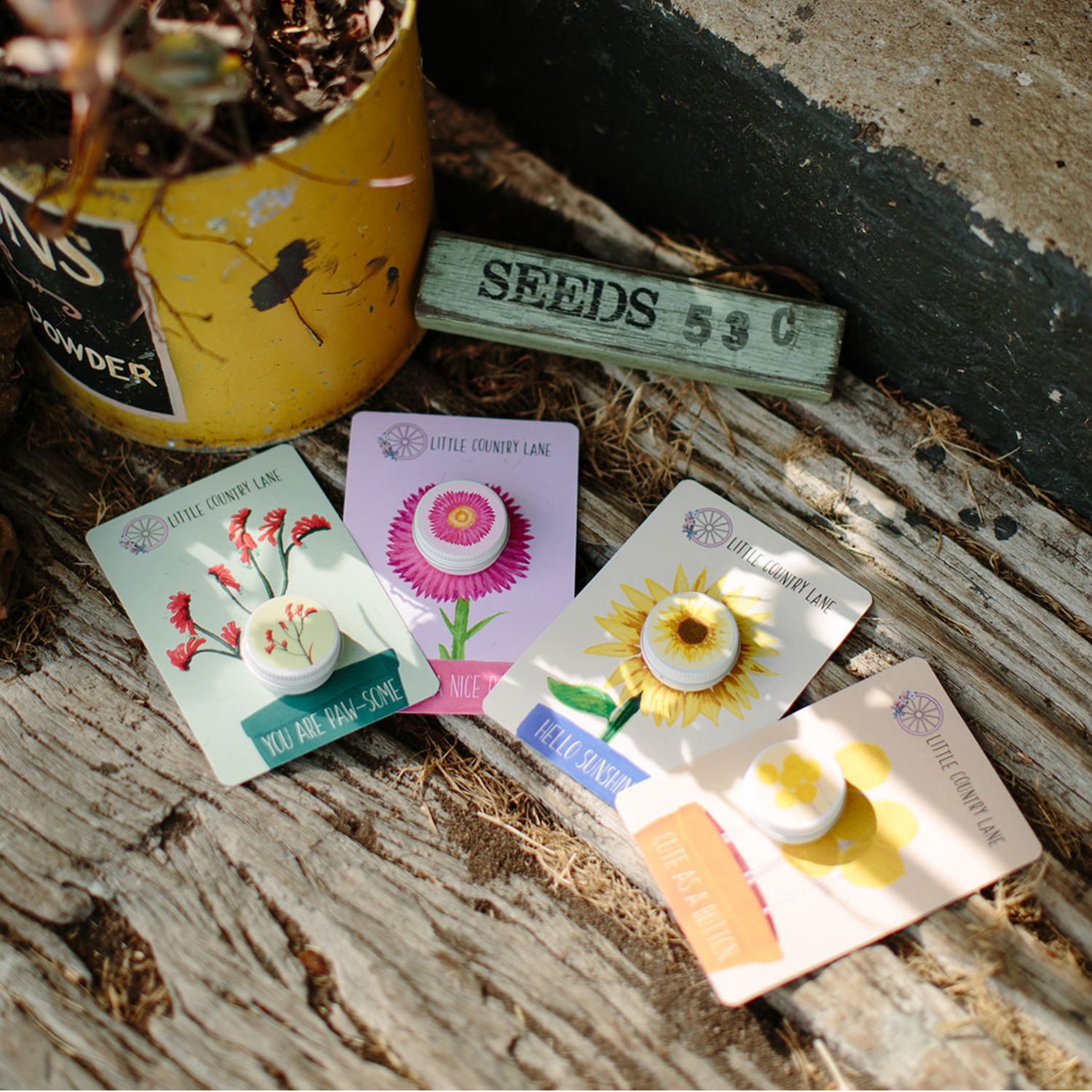 SEED CARDS