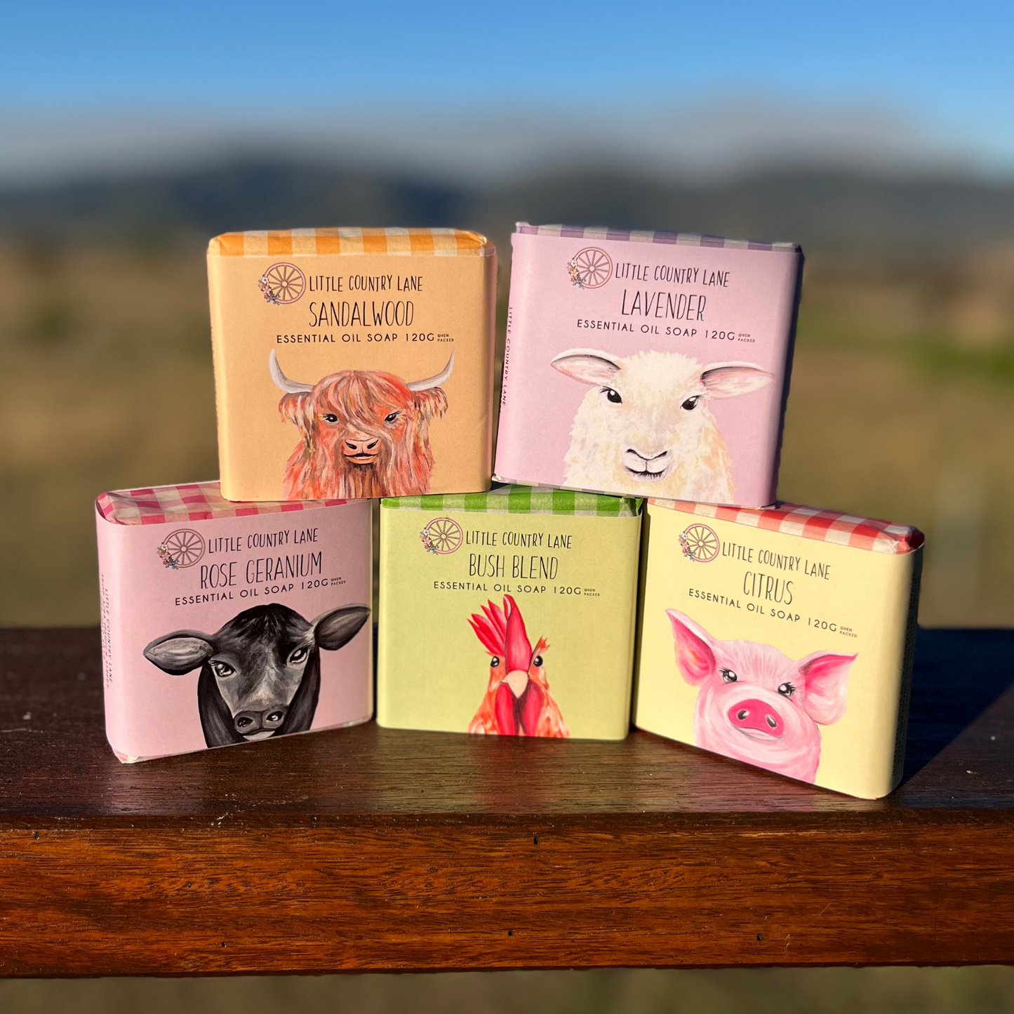 CITRUS ESSENTIAL OIL SOAP