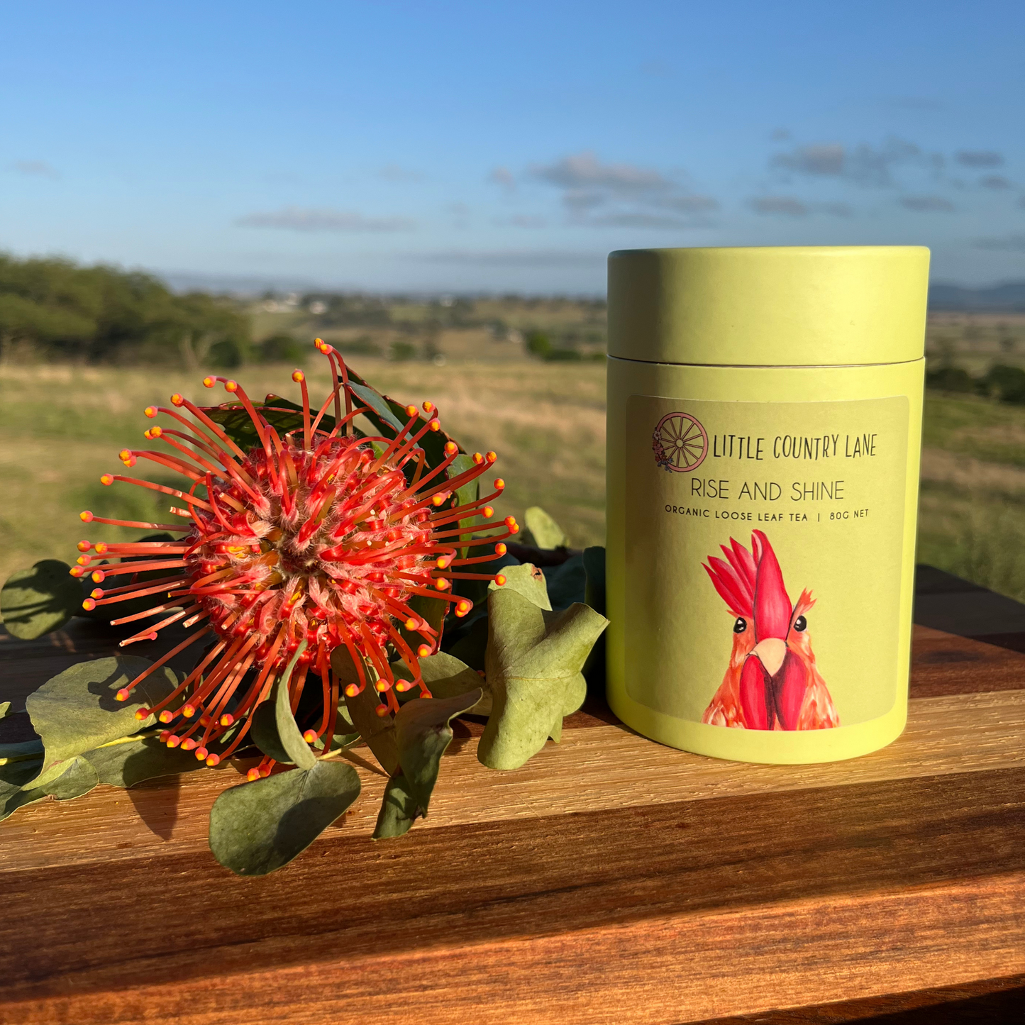 RISE & SHINE | LOOSE LEAF ORGANIC TEA | 75G NET