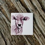 CARAMOO THE COW COASTER | BECK LEE ARTIST