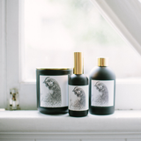 FRENCH PEAR CHICKEN COLLECTION SET | BECK LEE ARTIST