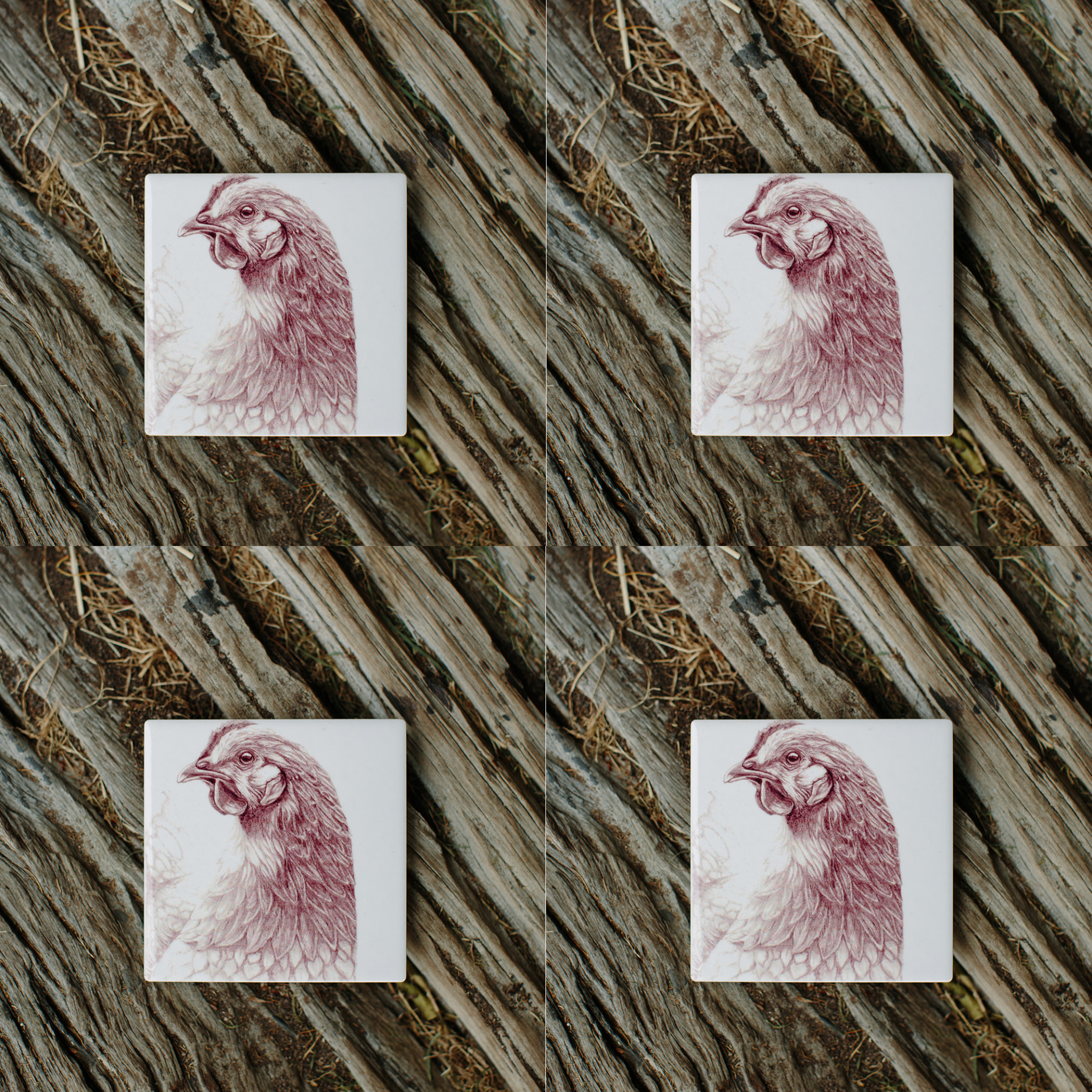 WINONA WYANDOTTE CHICKEN COASTER BECK LEE ARTIST