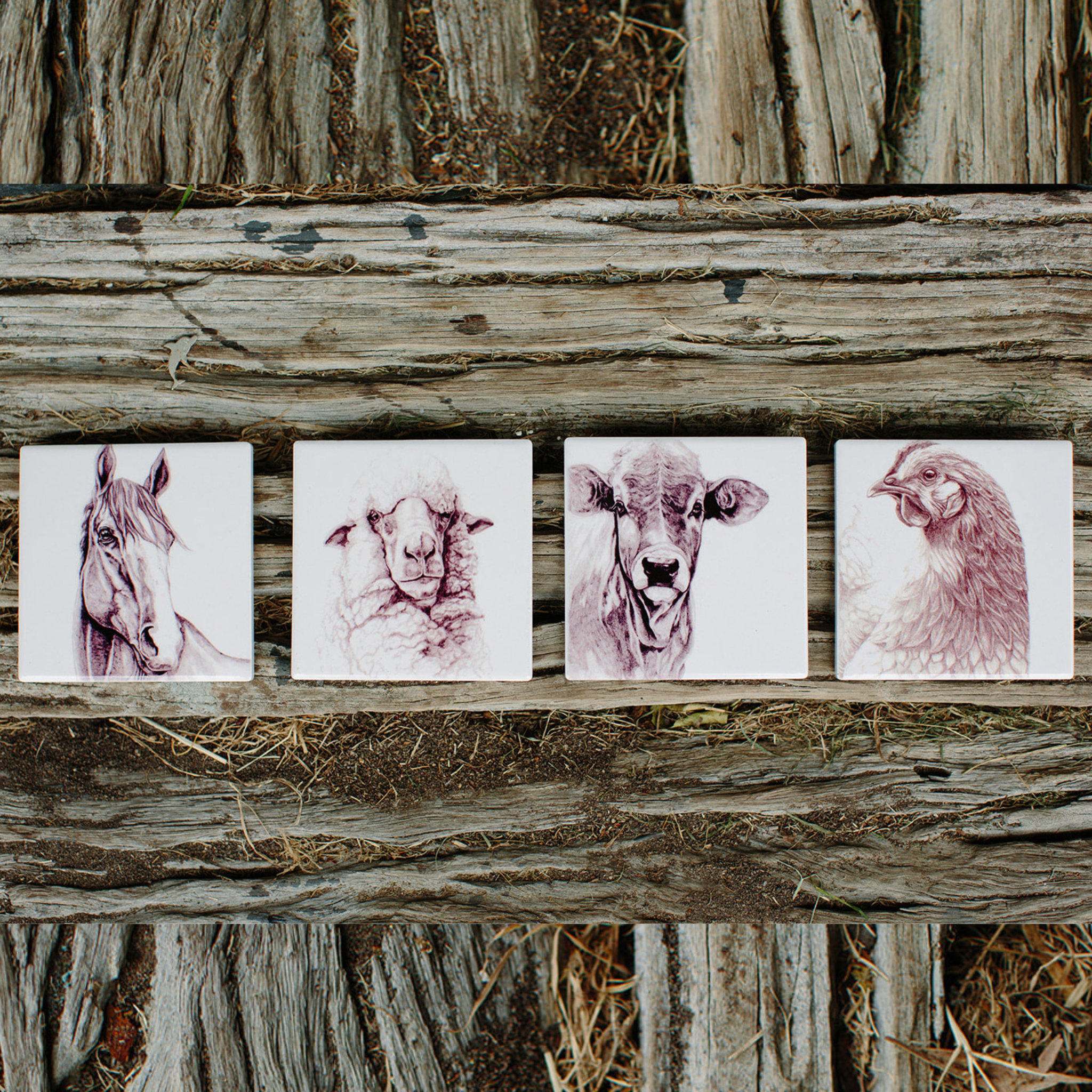 CLASSIC COUNTRY FARM FRIENDS COASTER | BECK LEE ARTIST