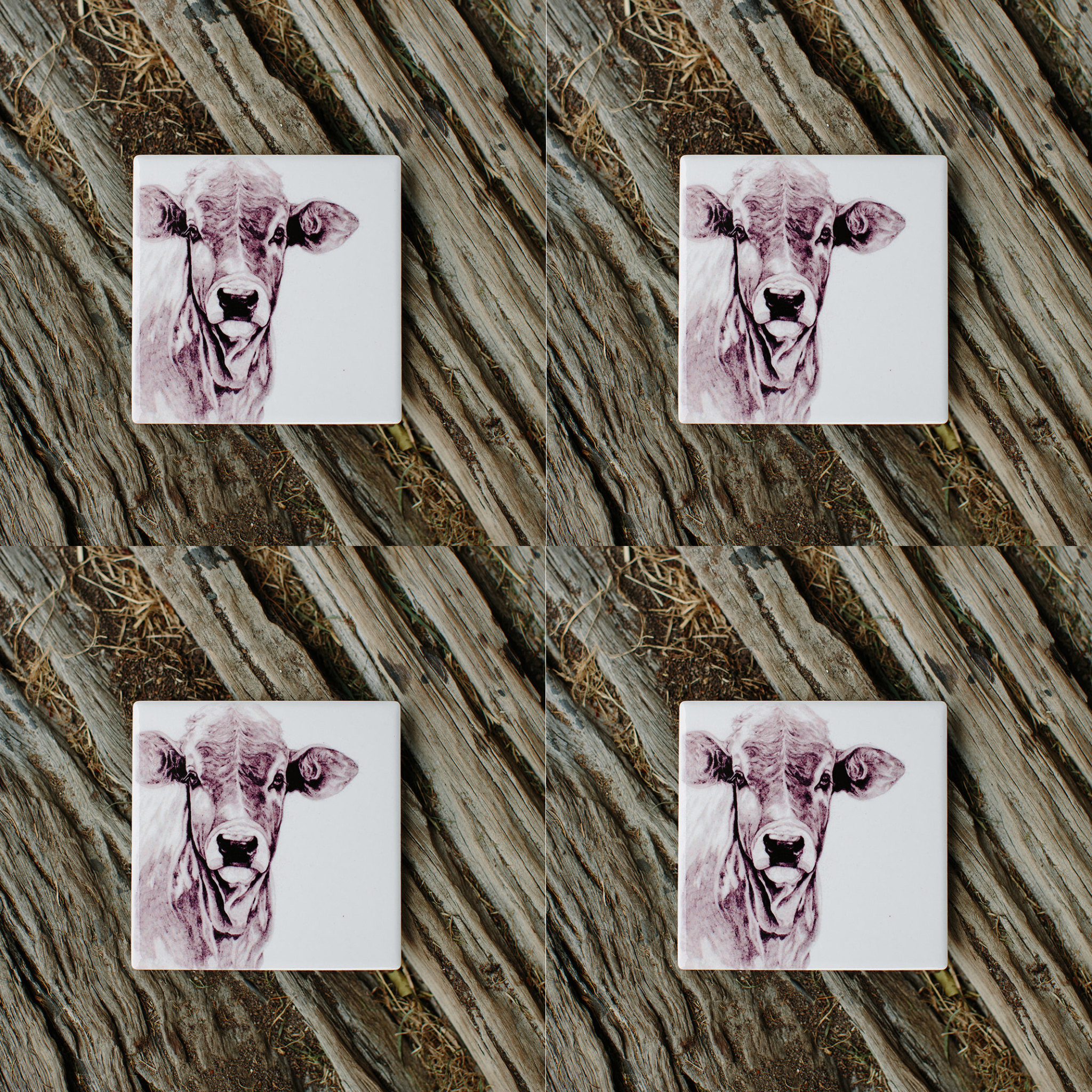 CARAMOO THE COW COASTER | BECK LEE ARTIST