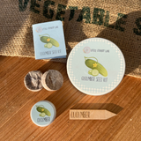CUCUMBER SEED KIT | GROW YOUR OWN VEGGIES