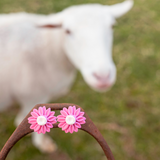 PINK FLOWER EARRINGS | STUDS