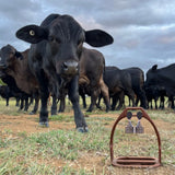 CATTLE TAG - DANGLE | EARRINGS | BLACK GINGHAM