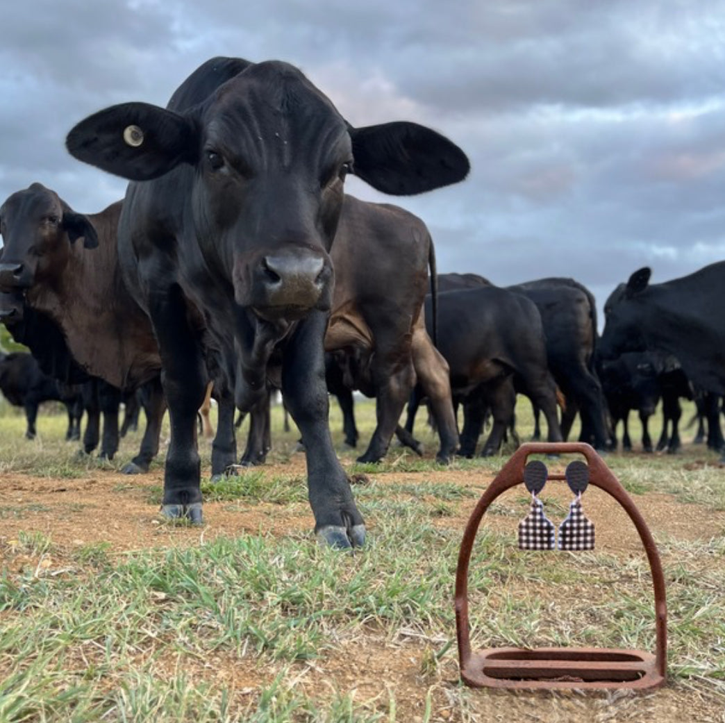 CATTLE TAG - DANGLE | EARRINGS | BLACK GINGHAM