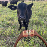 HORSE -  FARM FRIENDS EARRINGS (STUDS)