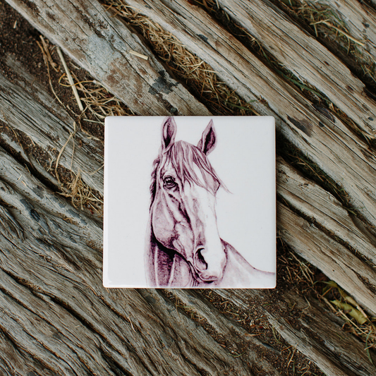 DONKS THE HORSE COASTER | BECK LEE ARTIST