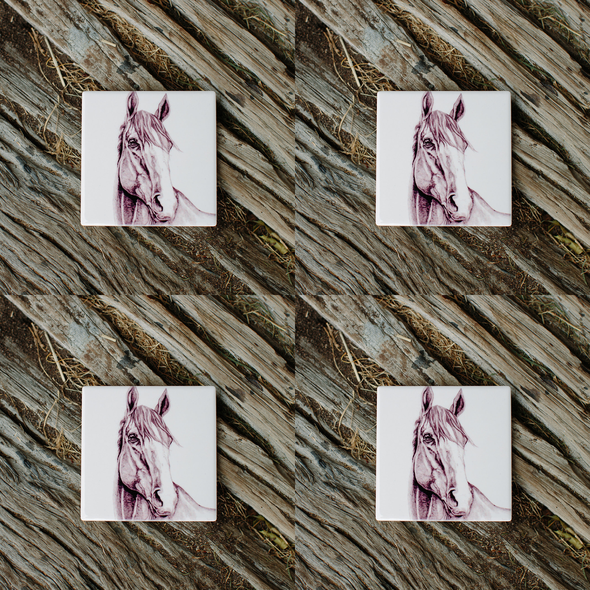 DONKS THE HORSE COASTER | BECK LEE ARTIST