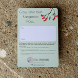 KANGAROO PAW - RED | SEED CARD