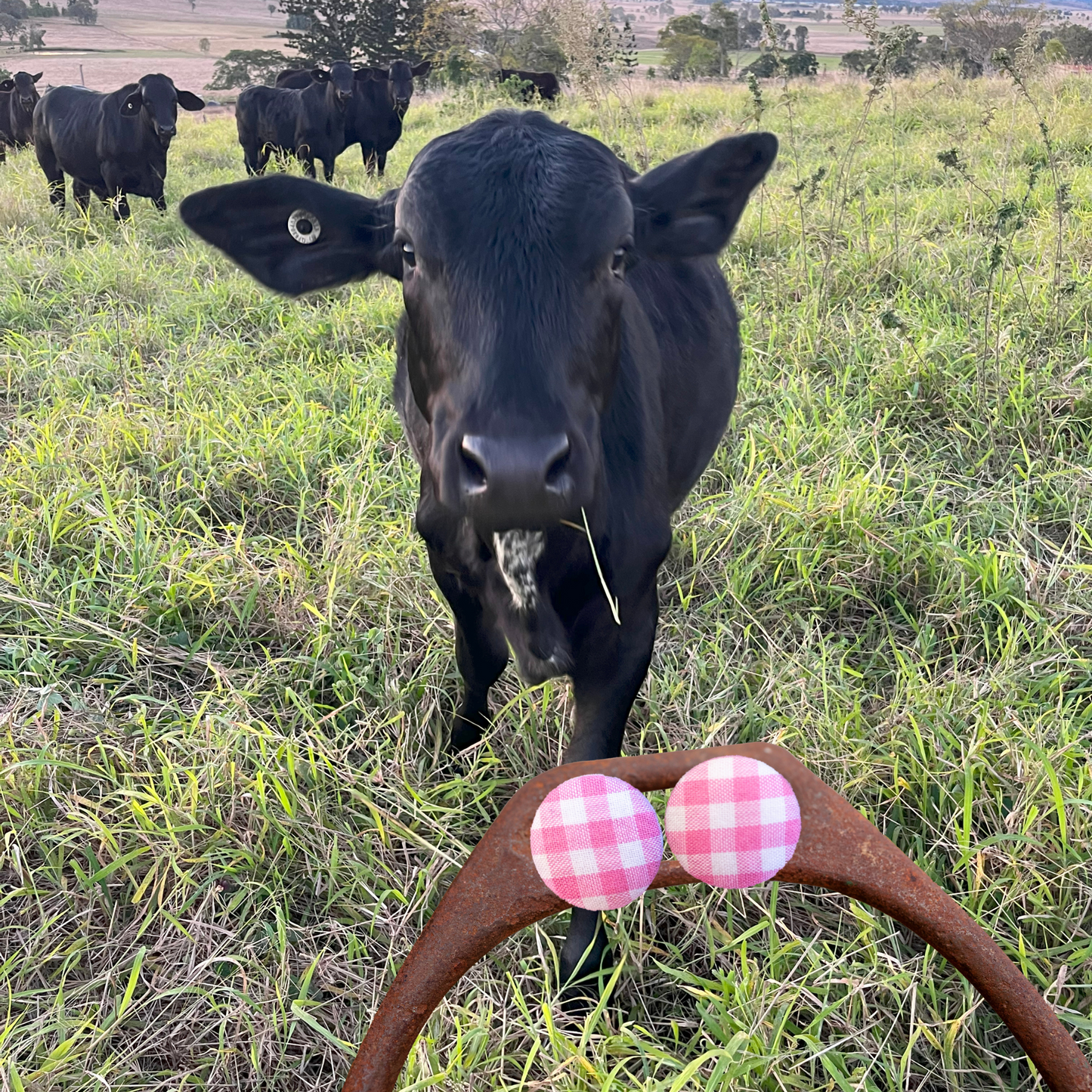 BUTTON STUD EARRINGS - PINK GINGHAM