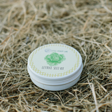 LETTUCE SEED KIT | GROW YOUR OWN VEGGIES