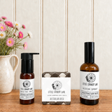 CLASSIC COUNTRY MINI TRIO