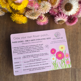 PAPER DAISY PATCH | SEEDS 5g