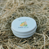 PUMPKIN SEED KIT | GROW YOUR OWN VEGGIES