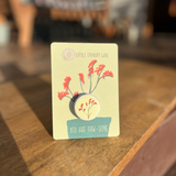KANGAROO PAW - RED | SEED CARD