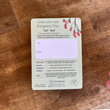 KANGAROO PAW - RED | SEED CARD