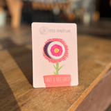 EVERLASTING DAISY | SEED CARD