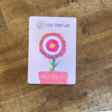 EVERLASTING DAISY | SEED CARD