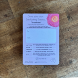 EVERLASTING DAISY | SEED CARD