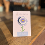 SWAN RIVER DAISY | SEED CARD