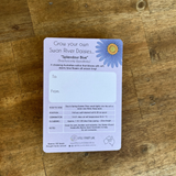 SWAN RIVER DAISY | SEED CARD
