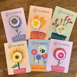 SUNFLOWER | SEED CARD
