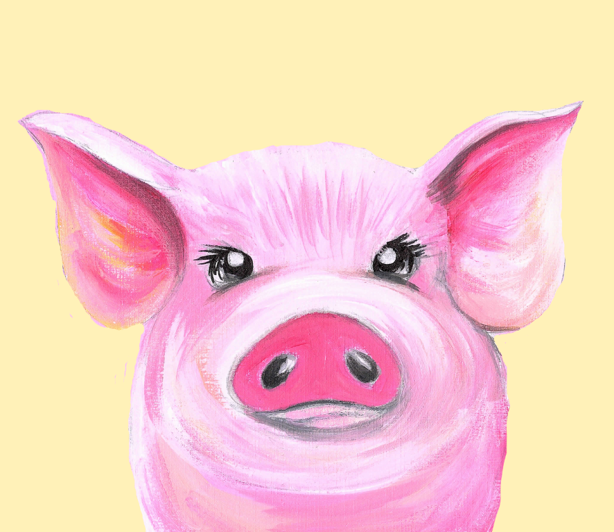 PIG SHOWBAG 2025