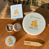 PUMPKIN SEED KIT | GROW YOUR OWN VEGGIES