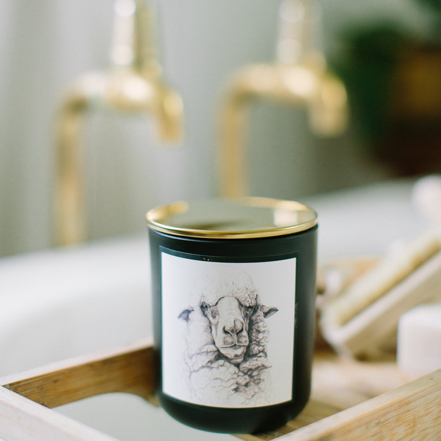 BECK LEE ARTIST | KAKADU PLUM  SHEEP CANDLE | 45+ HOURS