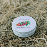 CHERRY TOMATO SEED KIT | GROW YOUR OWN VEGGIES