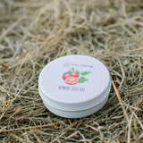 TOMATO SEED KIT | GROW YOUR OWN VEGGIES