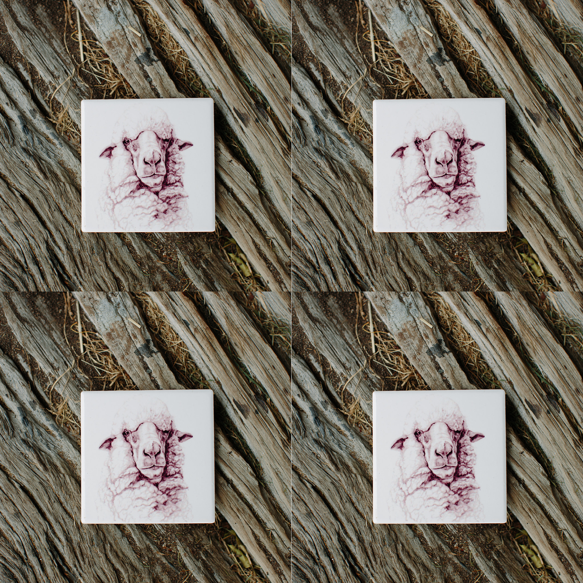 CLAUDE THE SHEEP COASTER | BECK LEE ARTIST