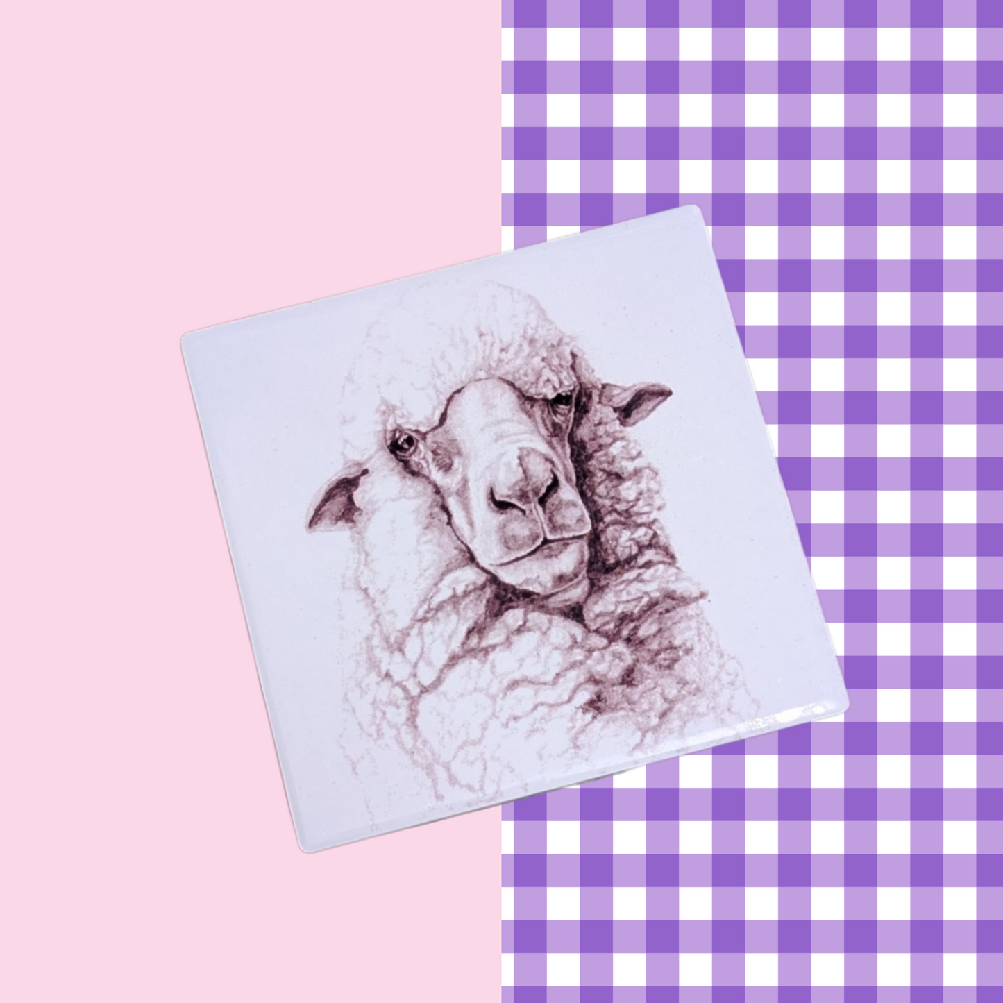 SHEEP - COASTER