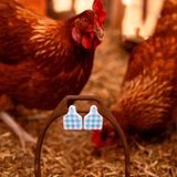 CATTLE TAG STUD EARRINGS | BLUE GINGHAM
