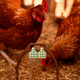 CATTLE TAG STUD EARRINGS | GREEN GINGHAM