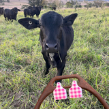 CATTLE TAG STUD EARRINGS | PINK GINGHAM