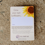 SUNFLOWER | SEED CARD