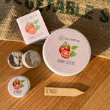 TOMATO SEED KIT | GROW YOUR OWN VEGGIES